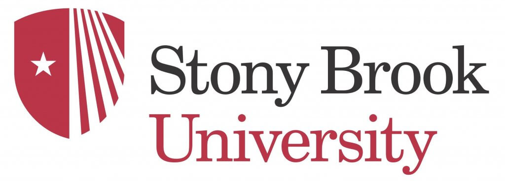 phd social work stony brook